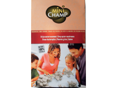 Комплект за отглеждане на гъби Кладница/ Mini champ - 3 литра