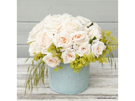 Роза Gräfin Elke zu Rantzau - 1 брой - 3