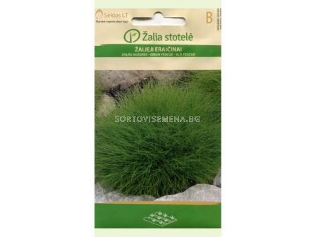 Семена Фестука зелена / FESCUE GREEN / 'SK -1 оп