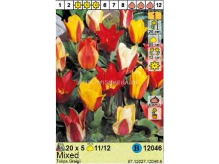 Лалета Greigii Mixed - Пакет: 1 оп. - 5 бр. - sortovisemena.bg Лалета Greigii Mixed - Пакет: 1 оп. - 5 бр.