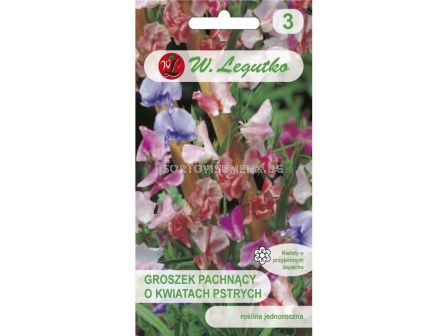 Сладък грах- микс - Lathyrus odoratus (3.00g) - Legutko - sortovisemena.bg Сладък грах- микс - Lathyrus odoratus (3.00g) - Legutko