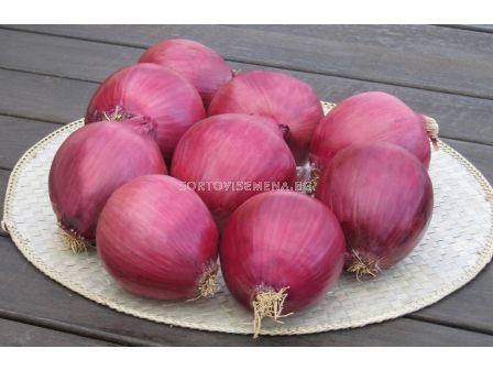 Семена за зимен лук Redwing F1 BJ -250 000 семена 