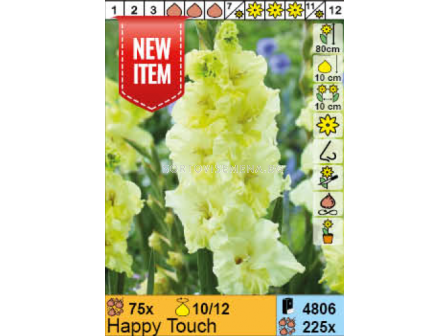 Гладиол Happy Touch/ Gladiolus - 1 брой