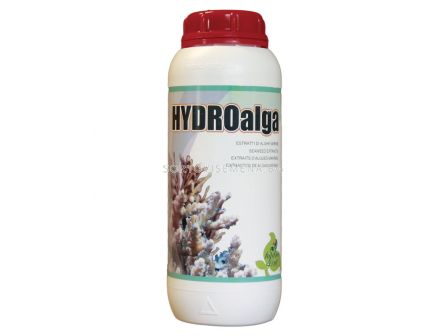 Хидро Алга - Hydro Alga  - 1
