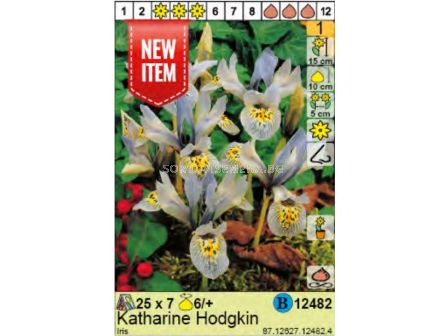 Ирис Katharine Hodgkin - Пакет: 1 оп.- 7 бр.