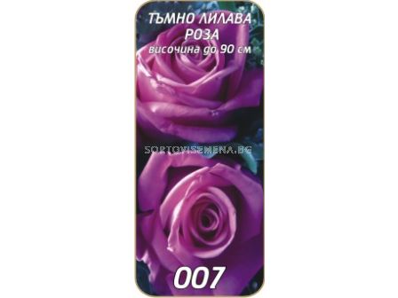 Храстовидна роза 007