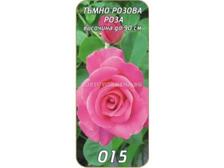 Храстовидна роза 015