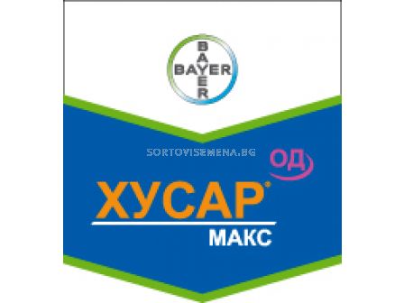 Хусар макс - ЗАБРАНЕН ПРЗ