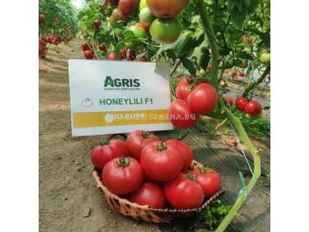 Семена домат HONEYLILI F1 - розов оранжериен /ZKI/