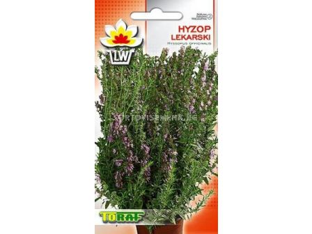 Семена Лечебен исоп