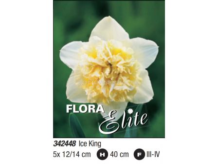 Нарцис double Ice King - Пакет: 1 оп. - 5 бр.