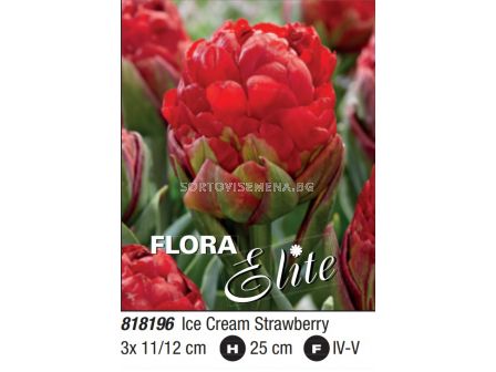 Лале double late Ice Cream Strawberry: Пакет- 1 оп.- 3 бр.