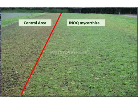 Микориза INOQ A600 - 7