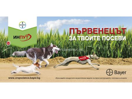 Инпут 5 л