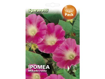 Семена Ипомея Червена`SG - Ipomoea red `SG