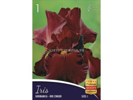Ирис (Iris) Germanica red brown 
