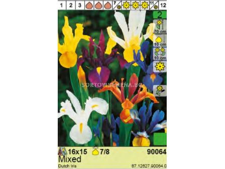 Ирис микс  /Iris Hollandica Mixed/ - Пакет: 1 оп -15 бр - 1