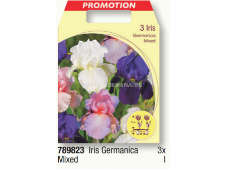 Ирис германика микс/ Iris germanica mixed - 1 пакет - 3 броя