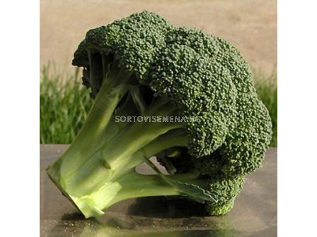 Семена за броколи Тритон Sakata