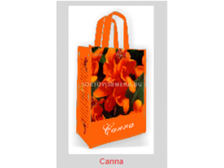 Канна Orange - Canna Orange