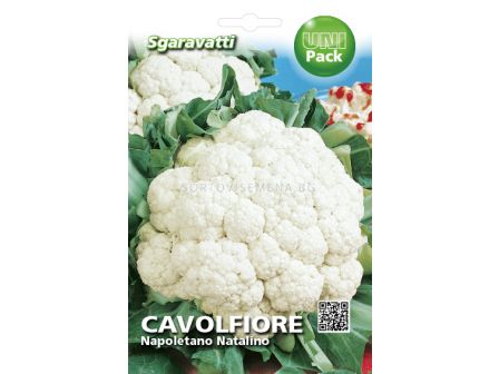 Семена Карфиол (Cauliflower) Napoletano Natalino`SG