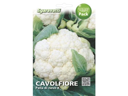 Семена Карфиол (Cauliflower) Palla di Neve`SG