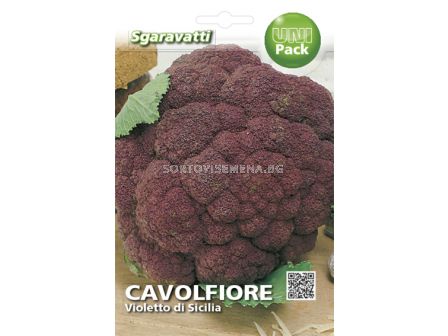 Семена карфиол Виолетов`SG - Cauliflower Violet`SG