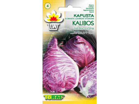 Семена Зеле Червено Сърцевидно - sortovisemena.bg Семена Зеле Червено Сърцевидно