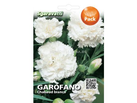 Семена Карамфил Шабо Бял`SG - Cloves Shabo White`SG