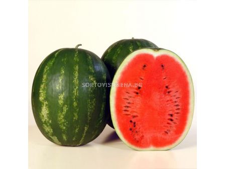 Семена дини Каристан - 1000 семена - 1