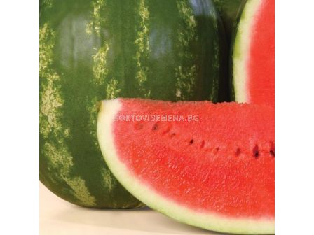 Семена дини Каристан - 1000 семена - 2