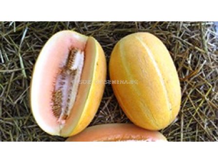 Семена пъпеш Победител - 100г