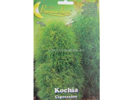 Семена Кохия