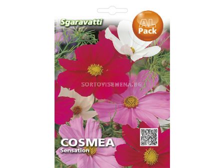 Семена Космос(Cosmos)`SG