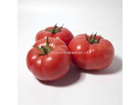 Семена домати Хонока (KS 1157) F1 - 1