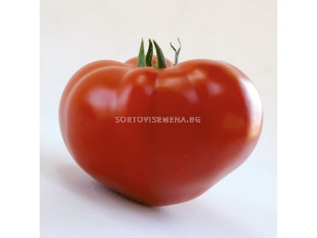 Семена домати KS 204 F1-100 семена - 1