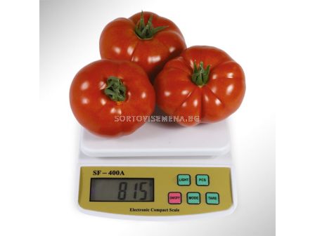 Семена домати KS 204 F1-100 семена - 2