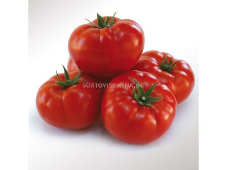 Семена домати KS 202 F1 - 100 семена - 1