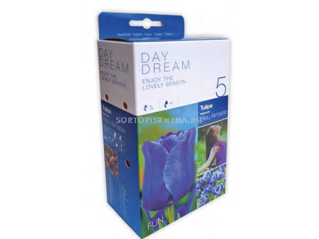 Ирис Hollandica Mixed - Пакет: 1 оп -15 бр - 2