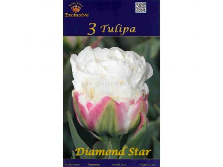Лале (Tulip) Diamond Star  