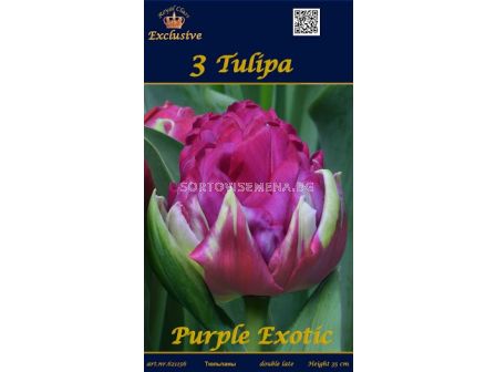 Лалета  Purple Exotic (пакет - 3 луковици)