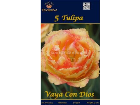 Лалета Vaya com Dios (пакет - 5 луковици)