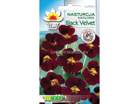 Латинка Black velvet – 5 г