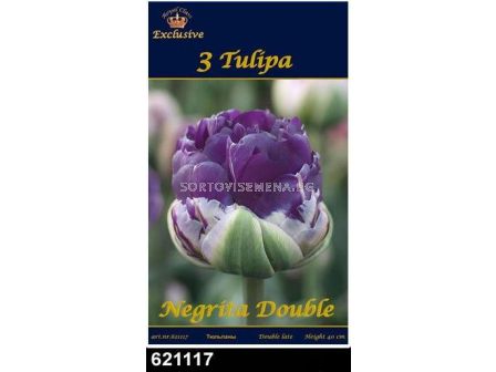 лале Negrita Double (пакет - 3 луковици)