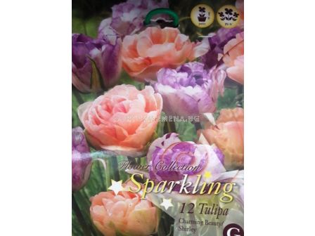 Лалета Sparkling Mix Charming Beauty & Shirley 