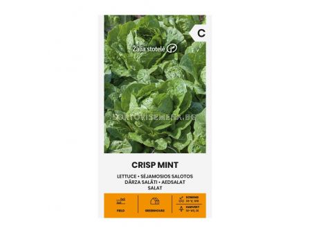 СЕМЕНА САЛАТА КЪДРАВА LETTUCE CRISP MINT - СК  