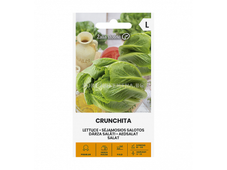 СК САЛАТА КРЪНЧИТА LETTUCE CRUNCHITA