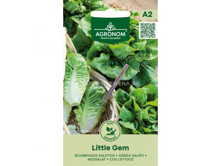 Семена САЛАТА ЛИТЪЛ ДЖЕМ  LETTUCE, LITTLE GEM - СК 