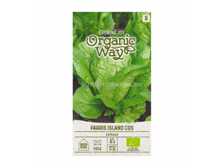 СК Семена САЛАТА ПАРИЖ ИСЛАНД КОС/ ISLAND COS OW -1 г - 1