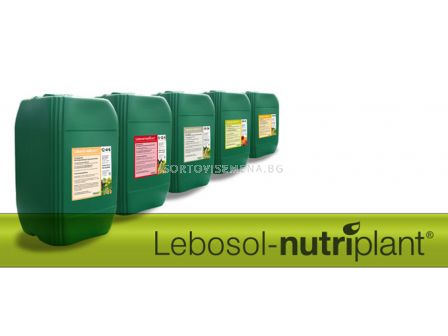 Lebosol Нутриплант 6-12-6